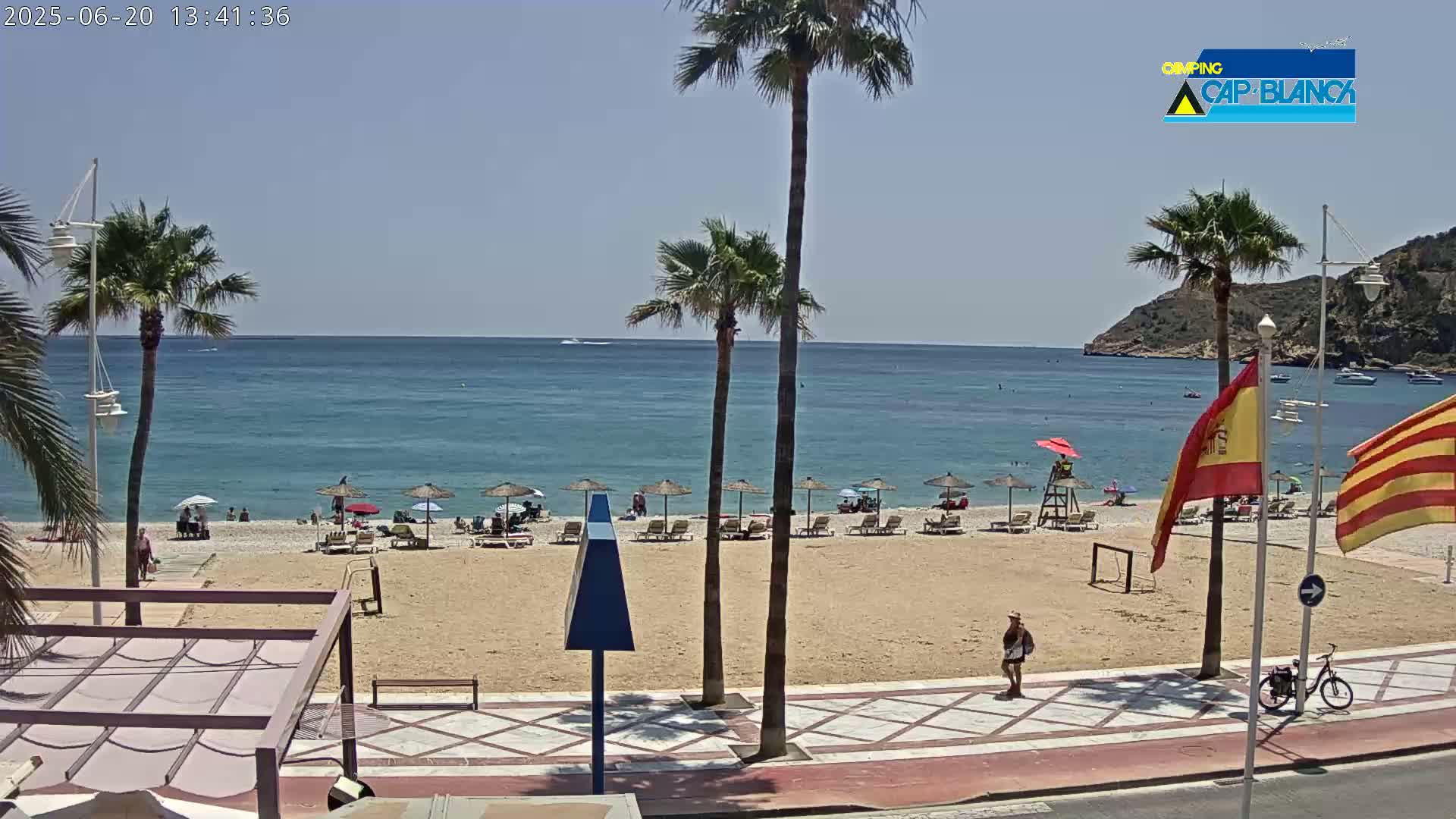 A sandy beach with palm trees and beach umbrellas lines a calm, blue ocean under a clear sky.