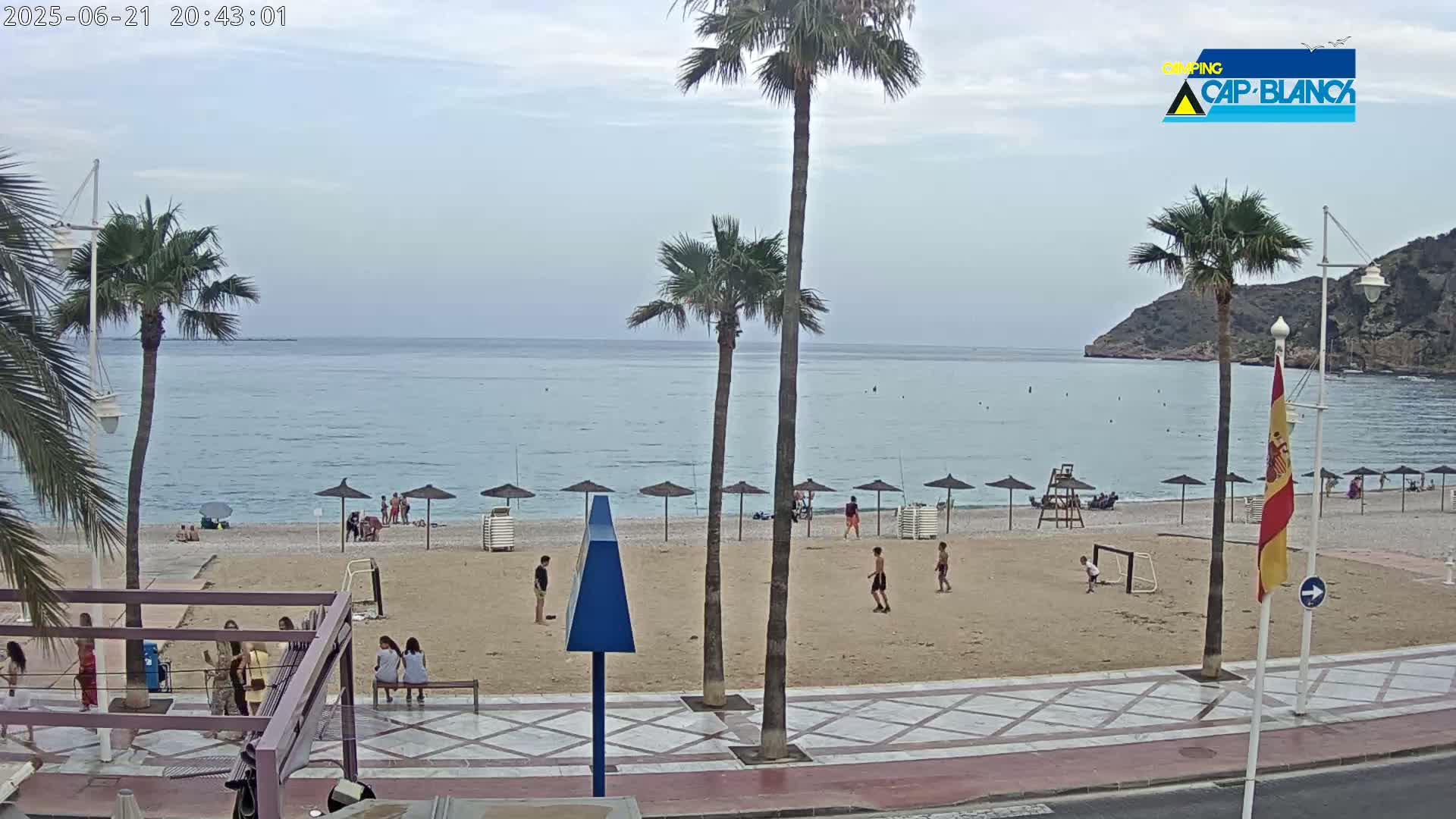 A sandy beach with calm, light-blue water, several palm trees, and scattered beachgoers under umbrellas on an overcast day.