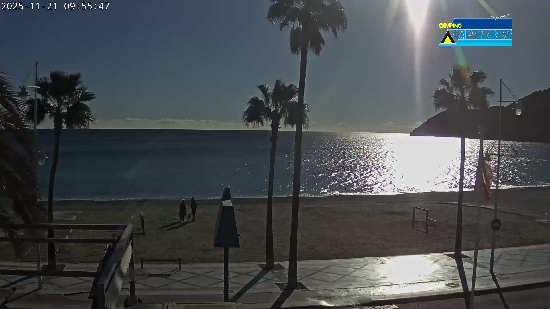 A sunny morning view captures a tranquil beach with several palm trees, a few people strolling near the calm ocean, and the bright sun creating a shimmering reflection on the water under a clear blue sky.