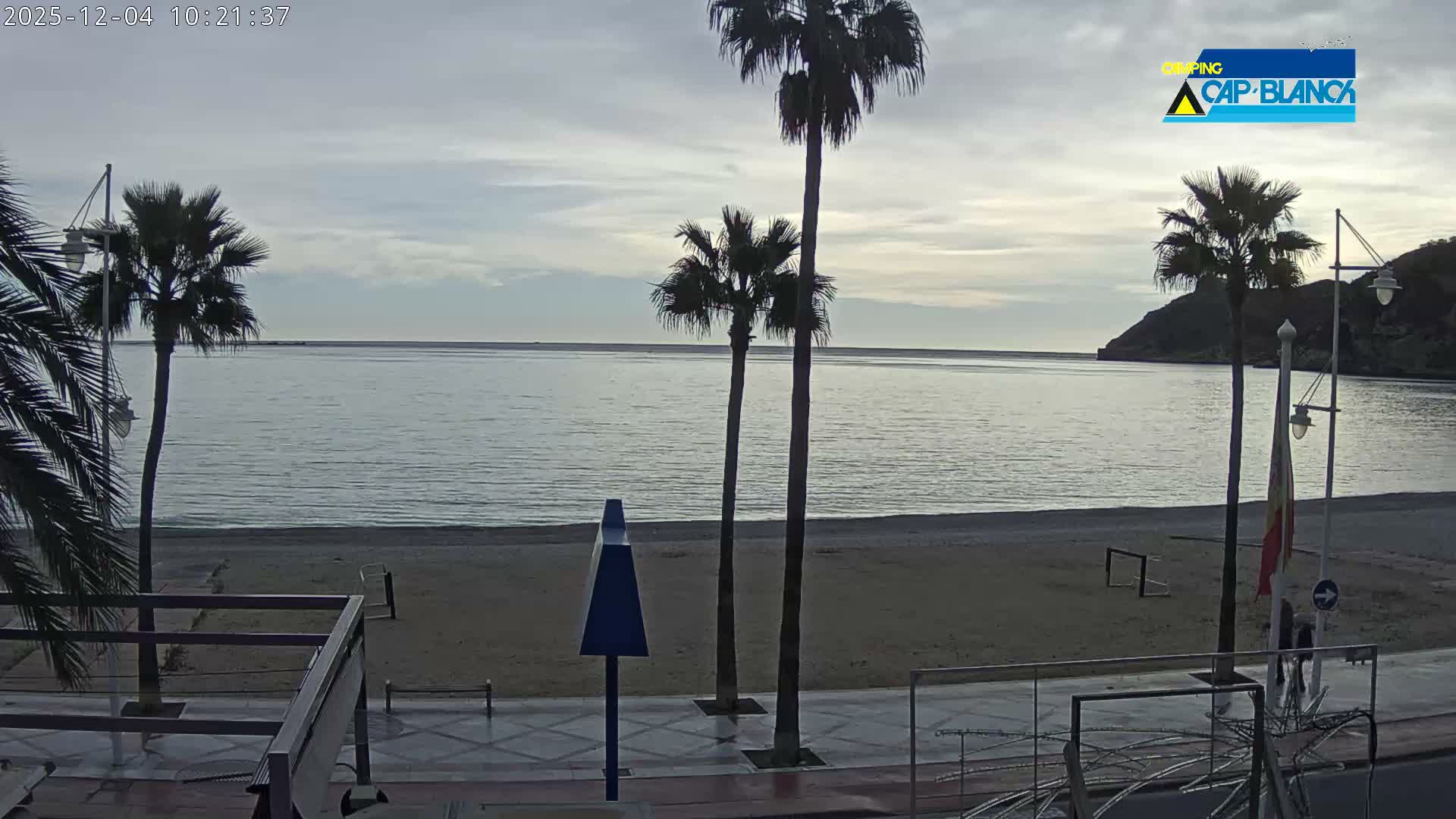 The image displays a quiet beach on an overcast day, featuring several palm trees along a sandy shore next to calm ocean waters, with a promenade and distant hills visible.