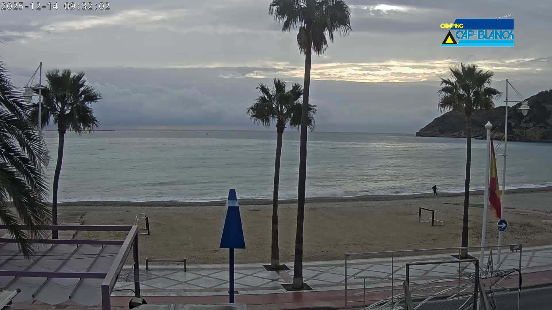 The image displays a quiet beach on an overcast day, featuring several palm trees along a sandy shore next to calm ocean waters, with a promenade and distant hills visible.