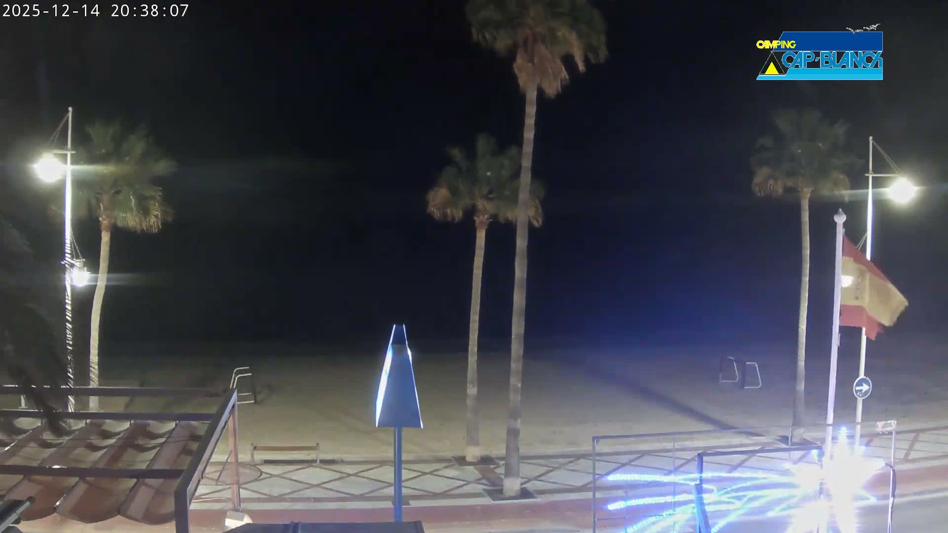 The image displays a quiet beach on an overcast day, featuring several palm trees along a sandy shore next to calm ocean waters, with a promenade and distant hills visible.