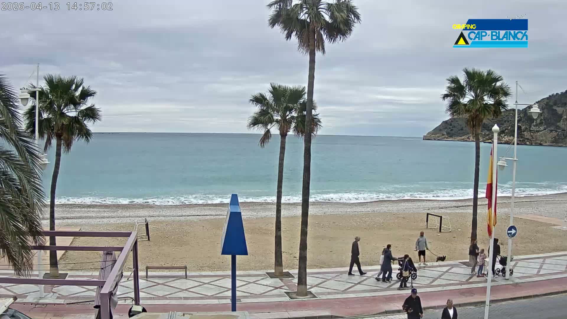 The image displays a quiet beach on an overcast day, featuring several palm trees along a sandy shore next to calm ocean waters, with a promenade and distant hills visible.