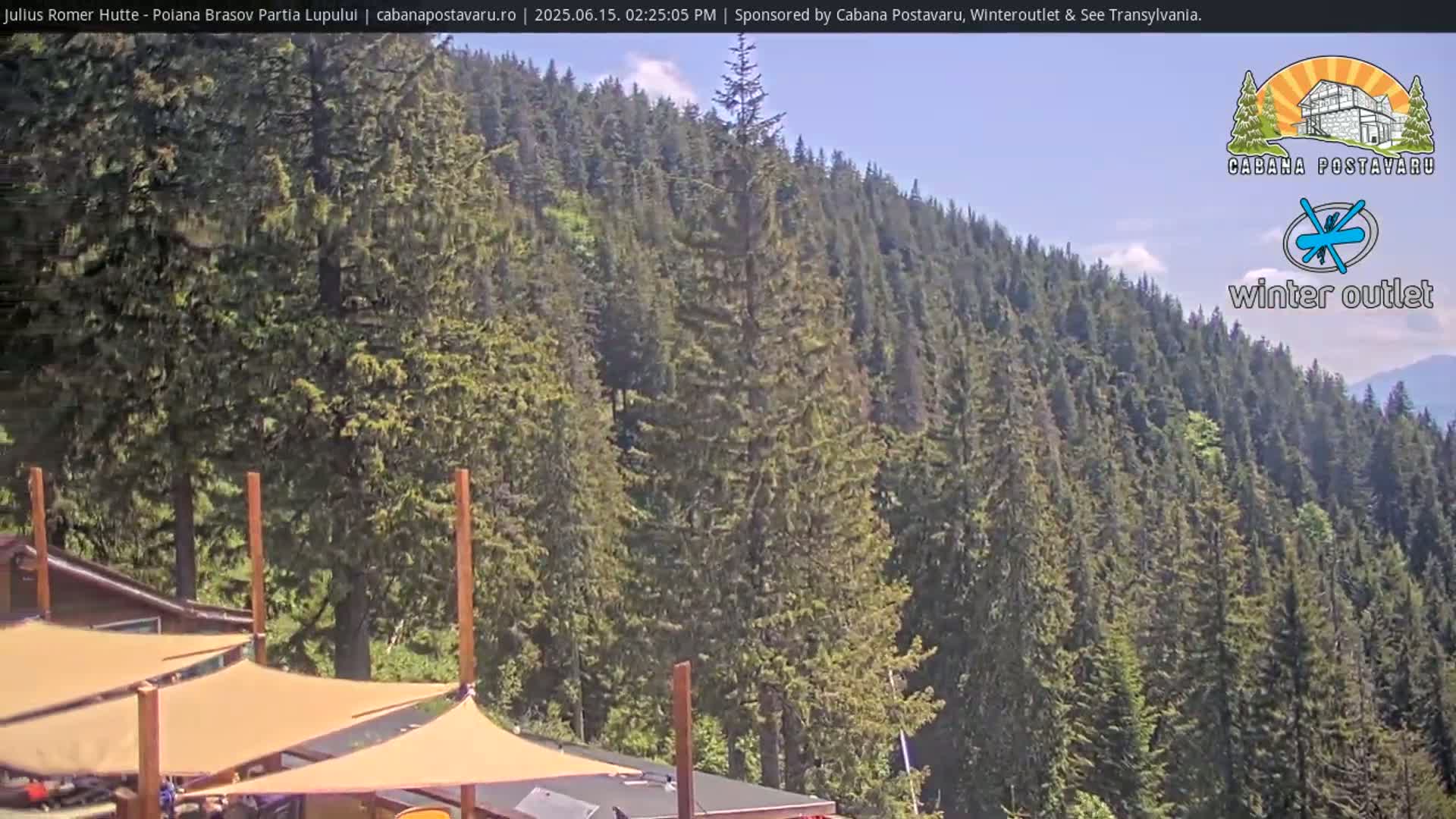 A sunny day reveals a hillside covered in dense evergreen trees, partially obscured by a structure with beige shade sails.