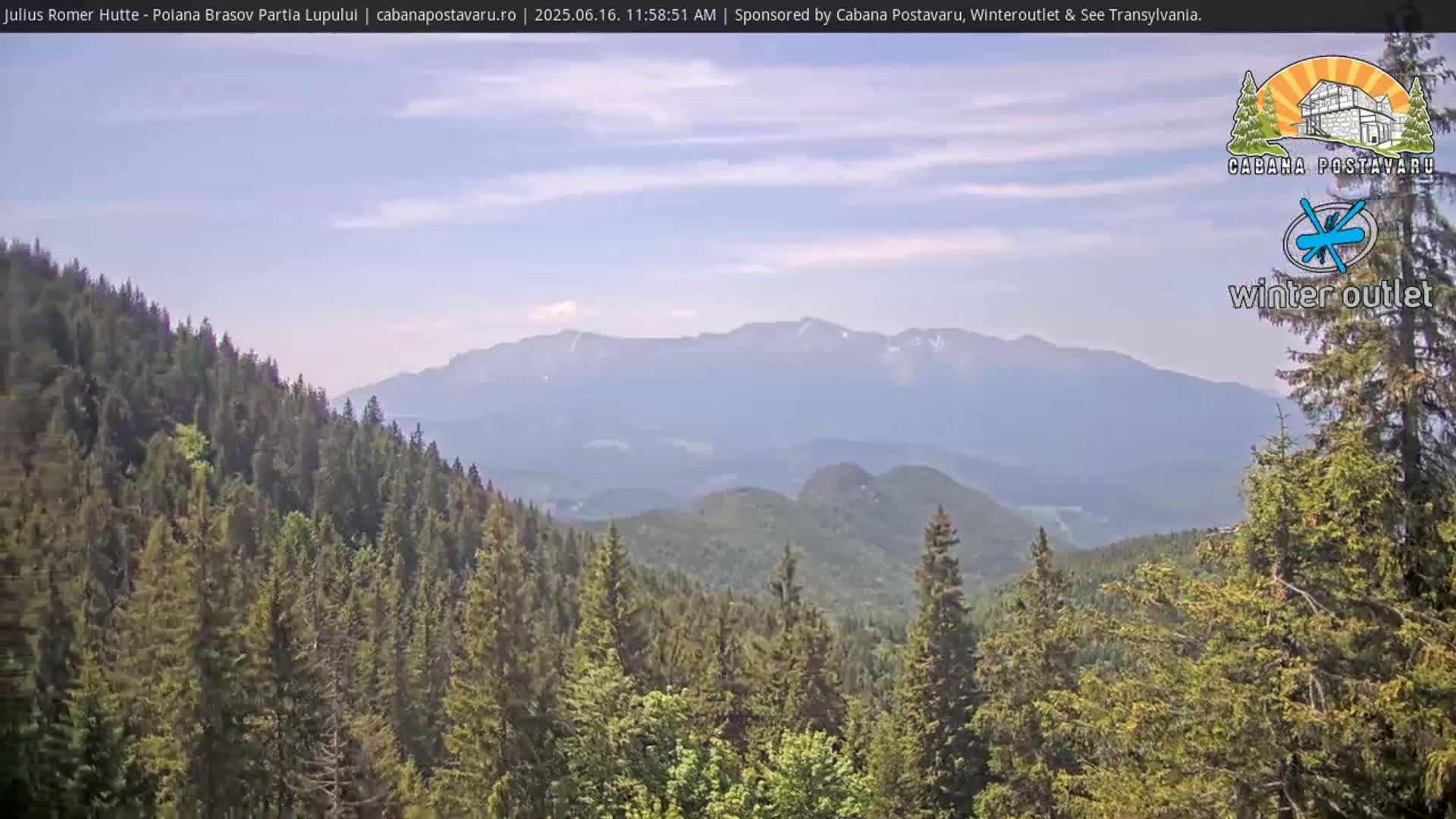 A mountain range is visible in the distance, under a mostly clear sky, with a foreground of densely packed evergreen trees.