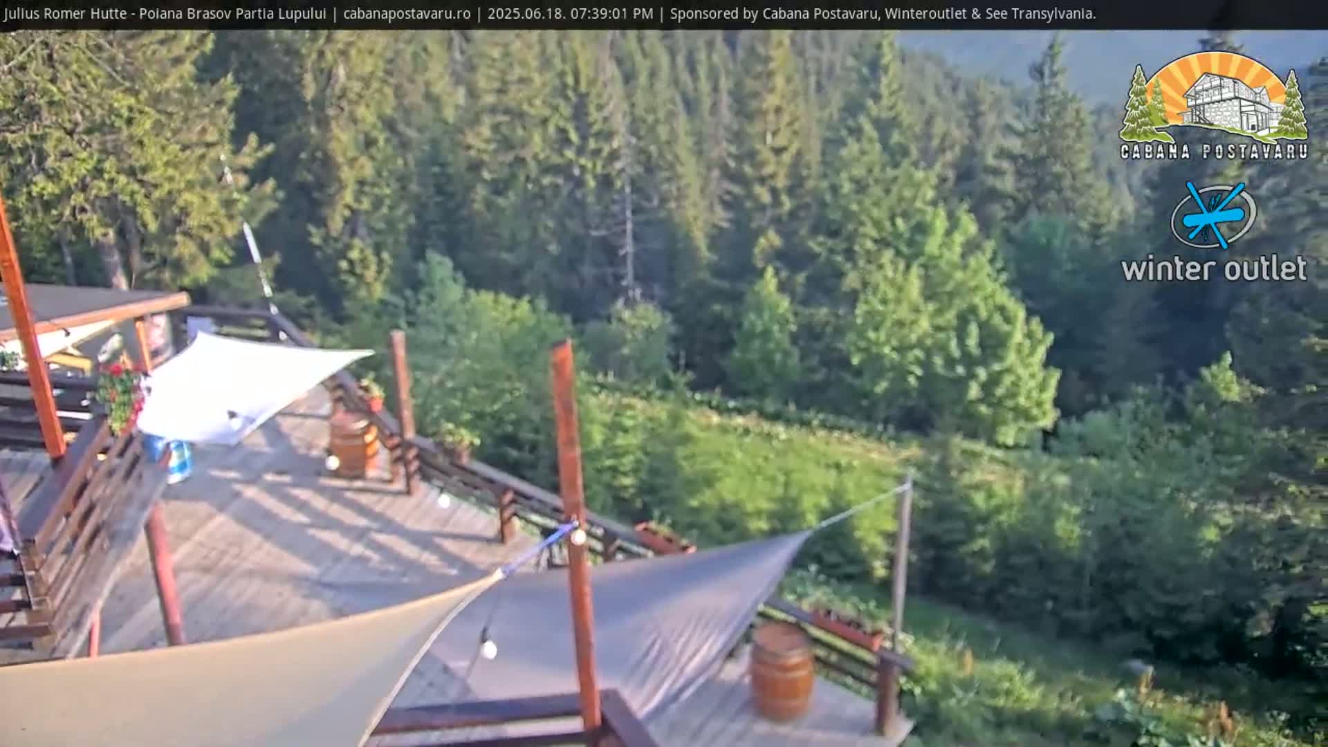 A wooden deck with sunshades overlooks a verdant hillside forest under a sunny sky.