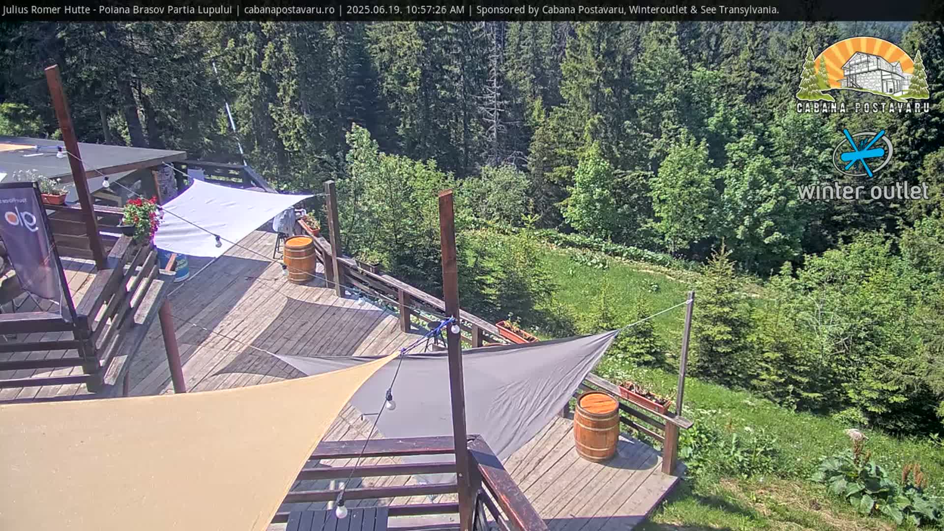 A wooden deck with sunshades overlooks a grassy area and a forest on a sunny day.