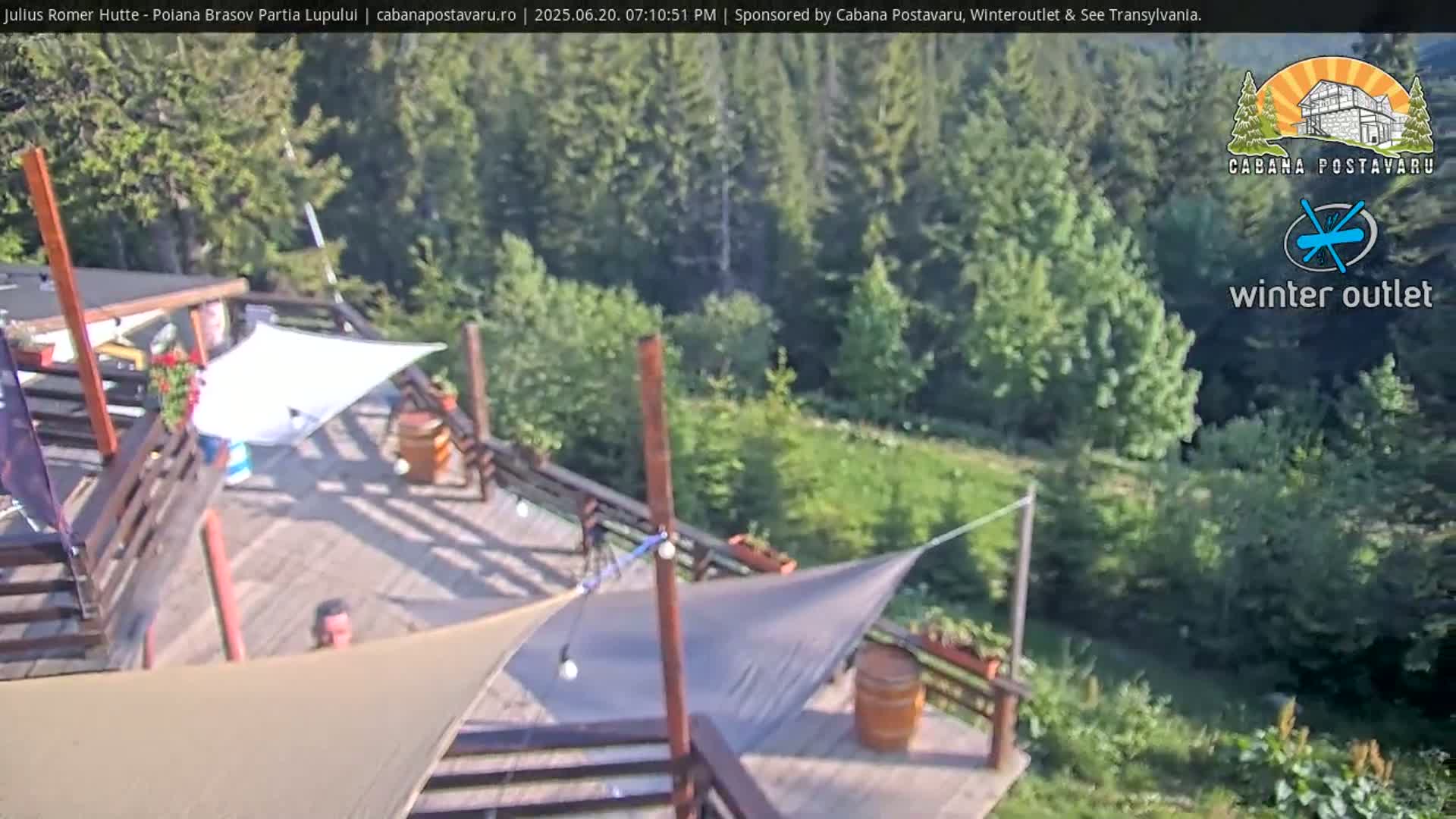 A wooden deck with sunshades overlooks a lush green forest on a sunny day.