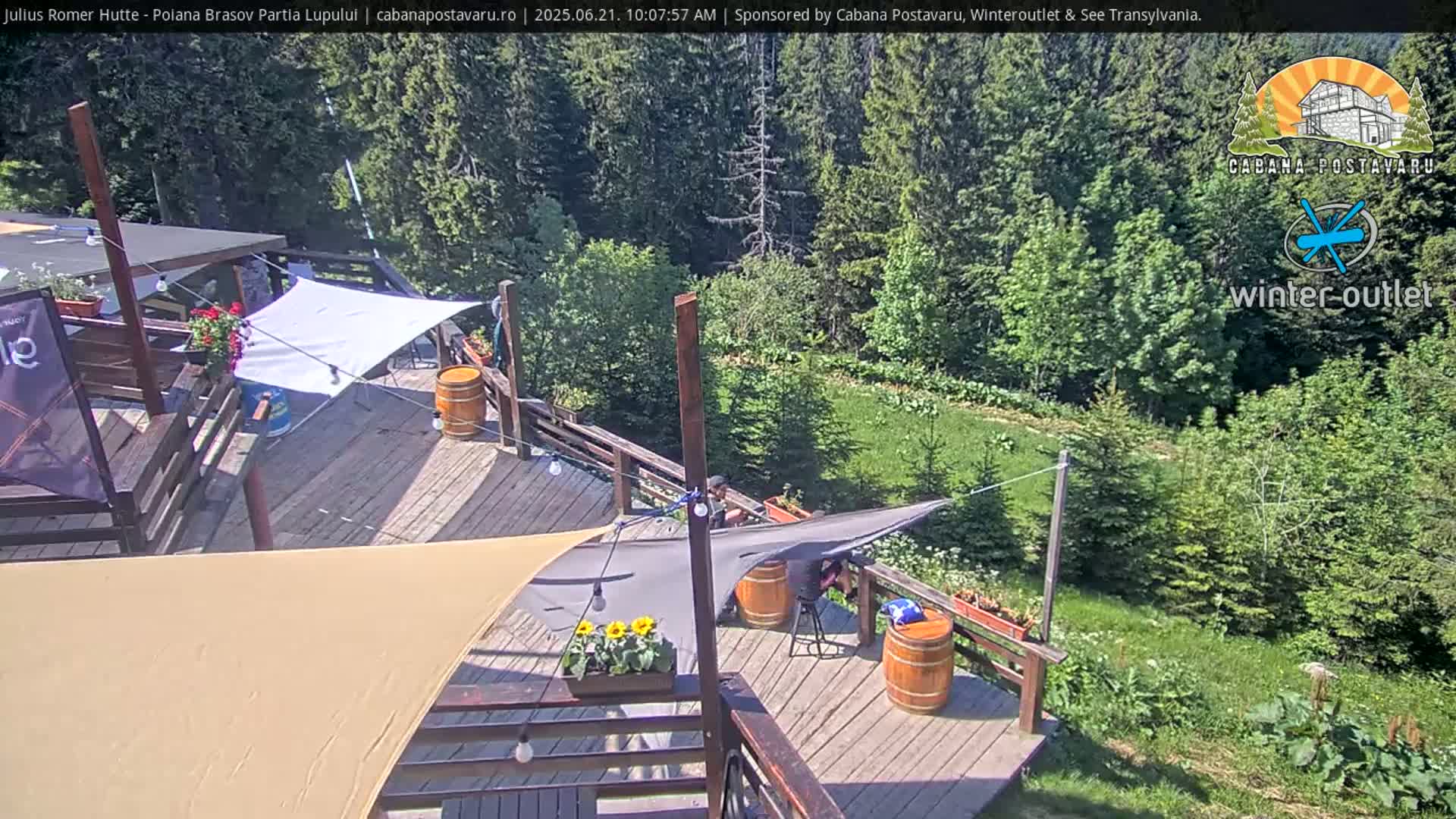 A wooden deck with several shade sails, barrels, and potted plants overlooks a grassy area bordered by lush green trees under a sunny sky.