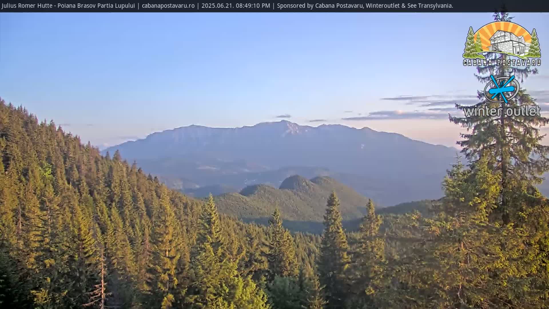A sunlit mountain range is visible in the distance, beyond a foreground of evergreen trees under a clear sky.