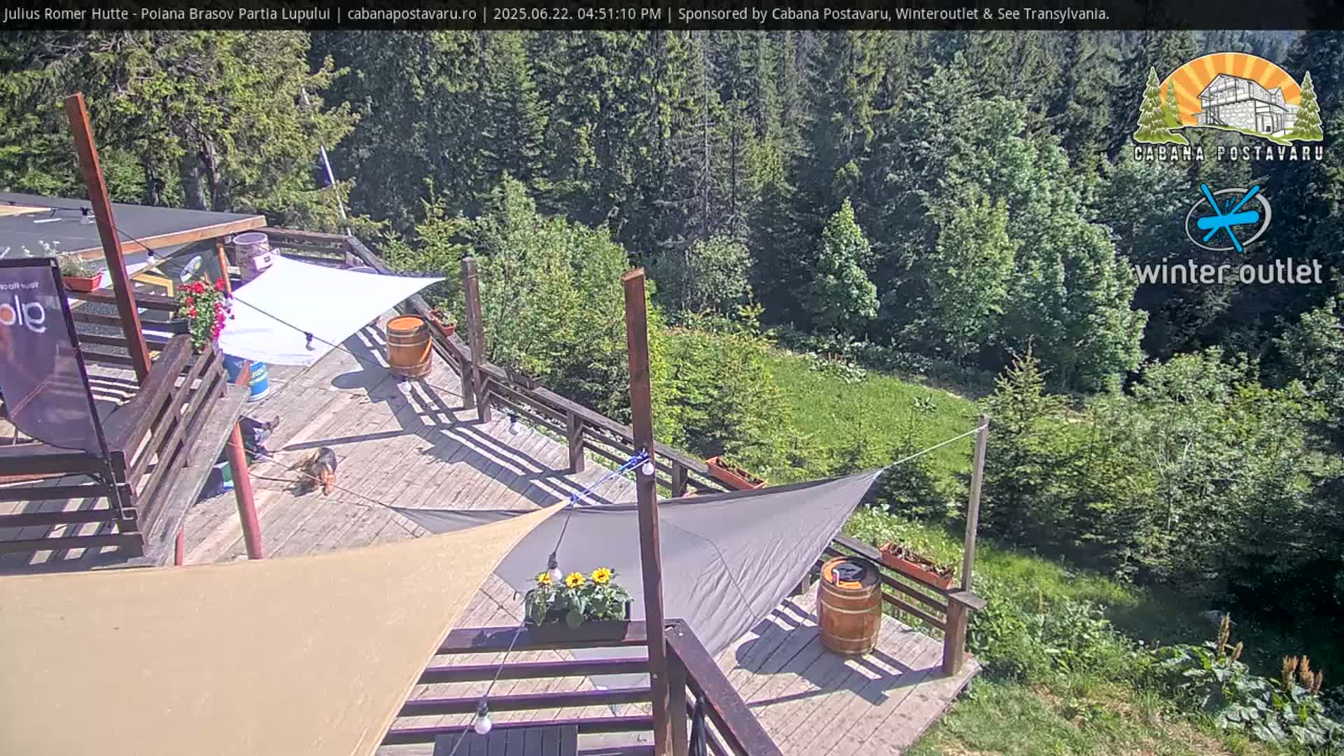 A wooden deck with sunshades overlooks a grassy area and a forest on a sunny day.