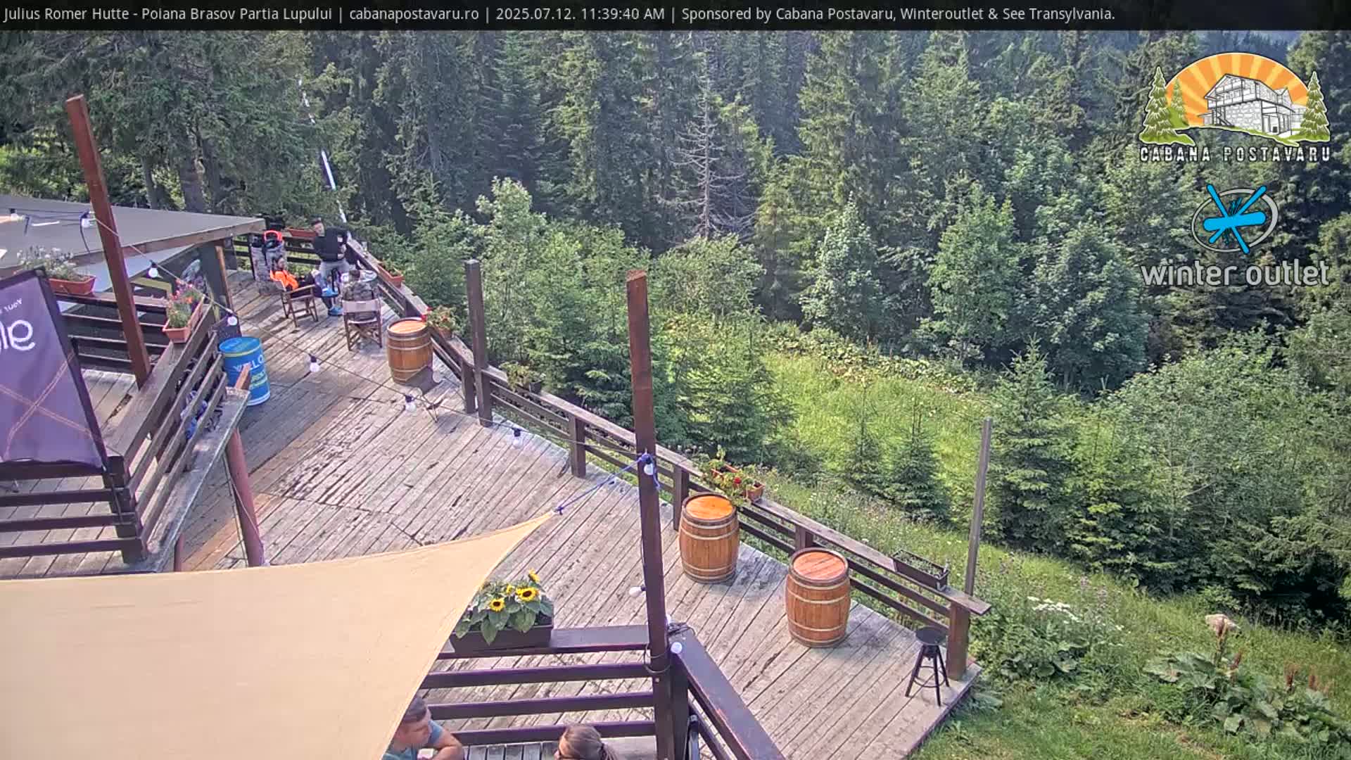 A wooden deck with several people seated at tables, overlooking a green hillside dotted with evergreen trees on a sunny day.
