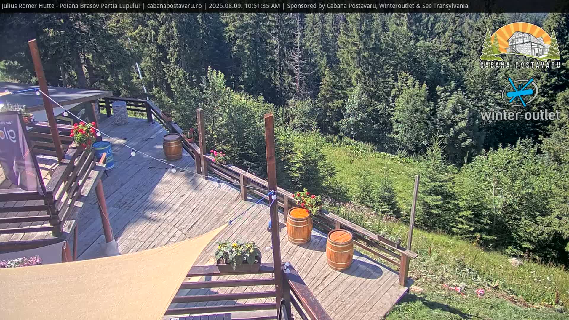 A sunny outdoor scene shows a wooden deck with potted plants, barrels, and string lights overlooking a grassy hillside and a forest.