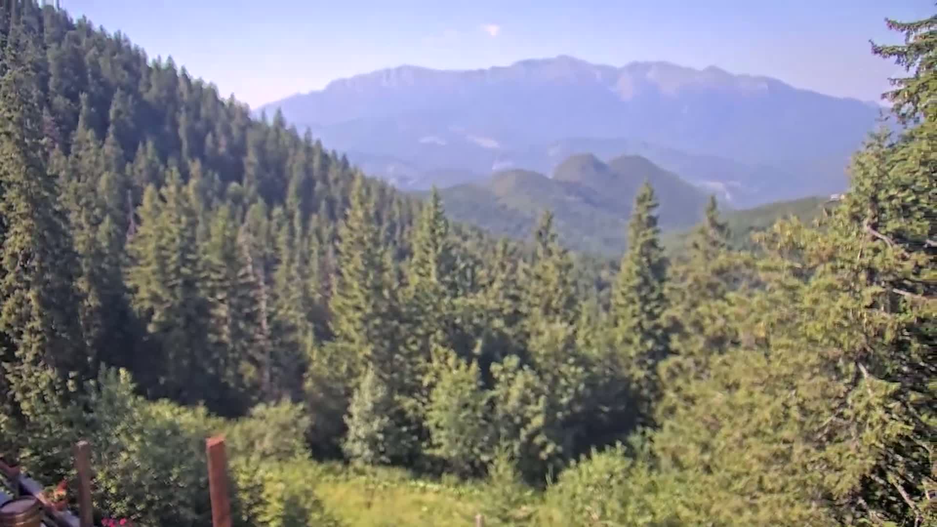 A mountainous landscape, under a clear sky, shows a dense evergreen forest in the foreground with distant hazy blue mountains in the background.