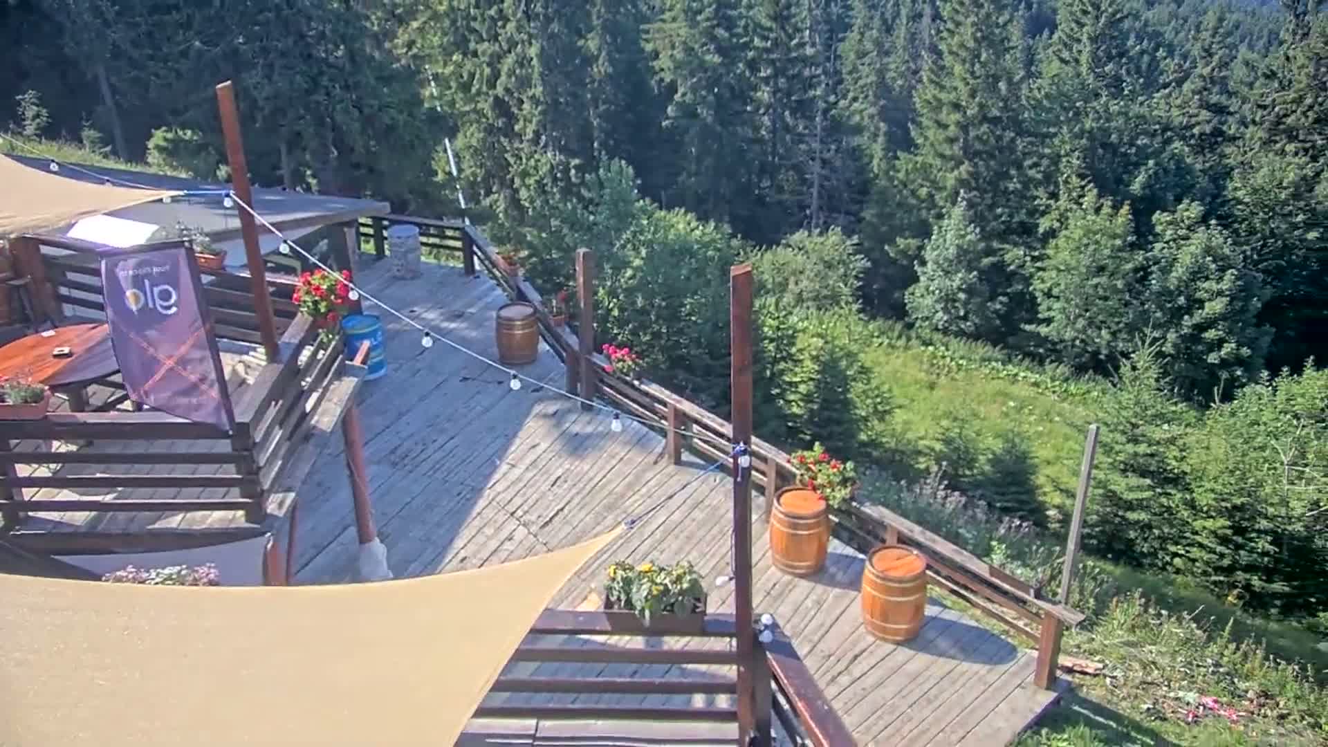 A wooden deck with tables, chairs, and potted plants overlooks a lush green hillside and dense forest on a sunny day.