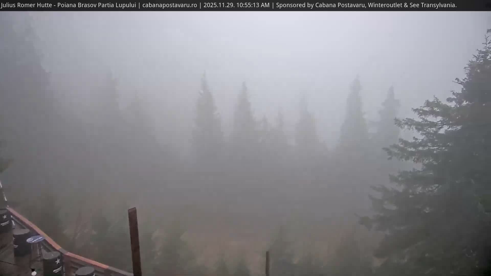 A dense fog obscures the view of a forest from an elevated outdoor deck, making the evergreen trees appear as hazy silhouettes.