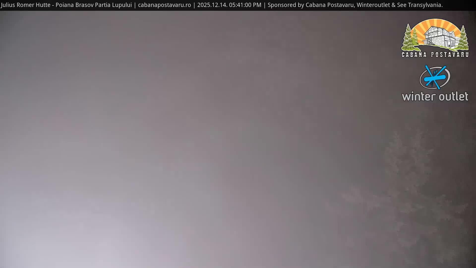 A snow-covered multi-level wooden deck featuring outdoor seating and barrel tables overlooks a dense, snow-laden evergreen forest on a cold, snowy winter day.