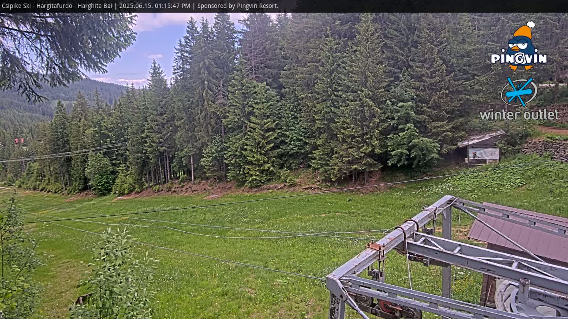 A grassy hillside with a ski lift in the foreground, partially obscured by vegetation, under a partly cloudy sky.