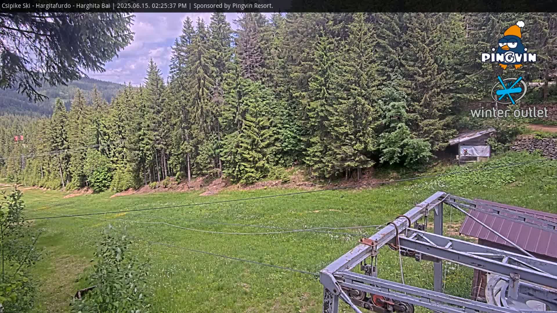 A grassy field sits below a line of evergreen trees on a partly cloudy day, with a section of a ski lift visible in the foreground.