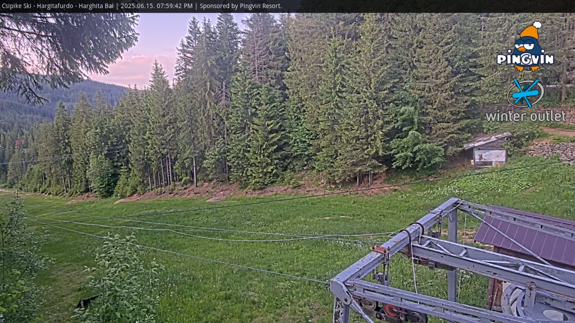 A grassy field with a ski lift in the foreground, bordered by a forest of evergreen trees under a partly cloudy evening sky.