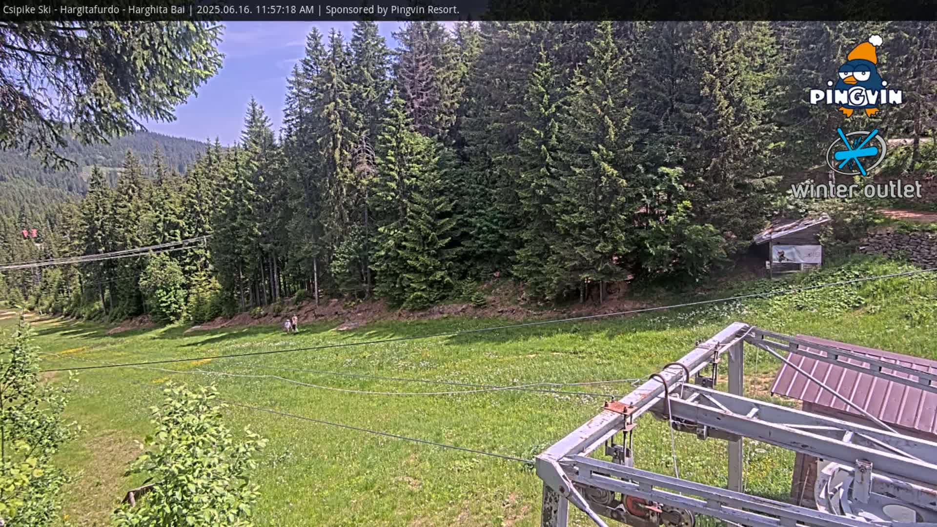 A grassy hillside dotted with wildflowers and evergreen trees is viewed from a ski lift on a sunny day.