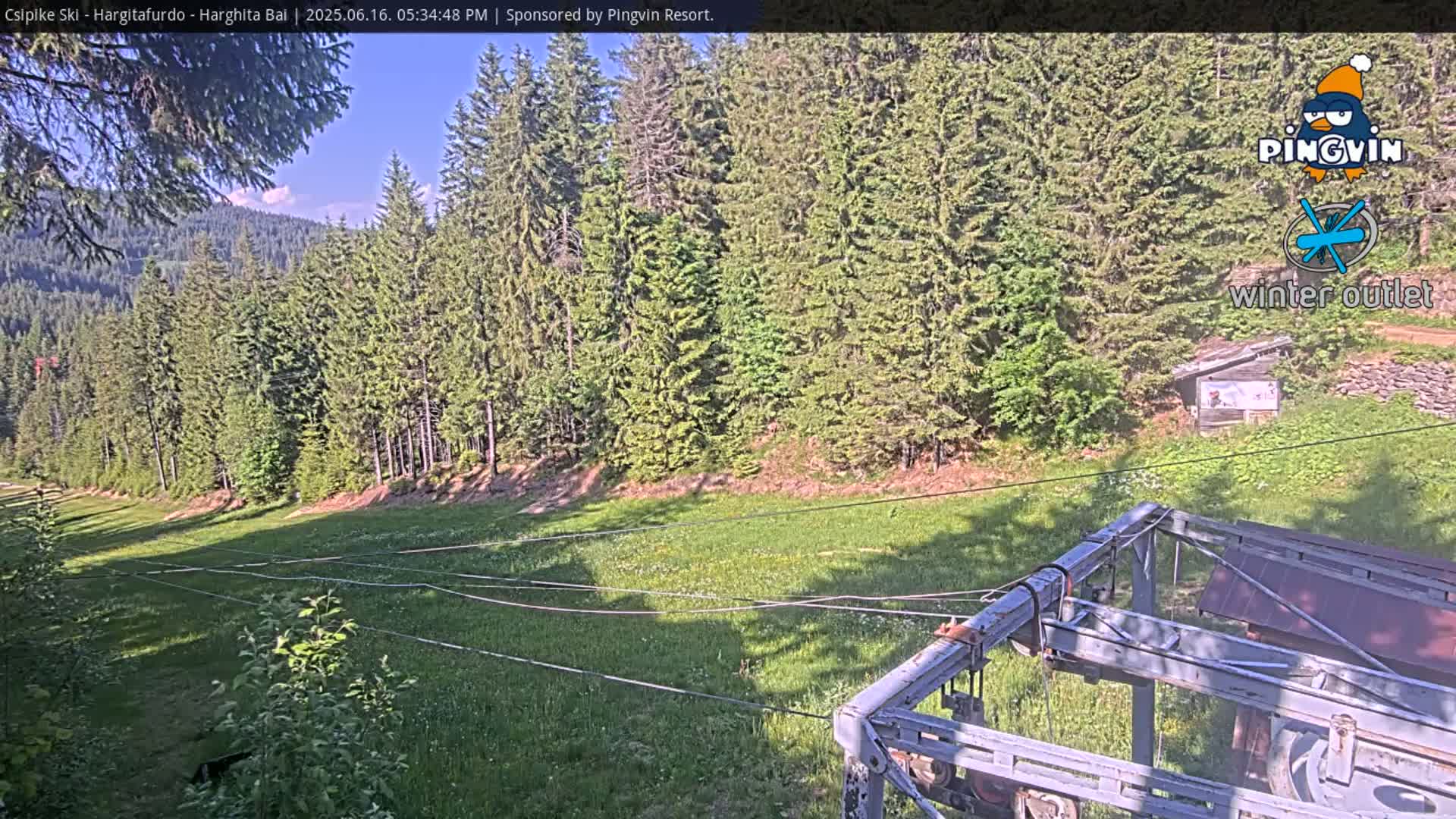 A sunny view of a grassy area with a ski lift in the foreground, surrounded by a dense evergreen forest and distant mountains.