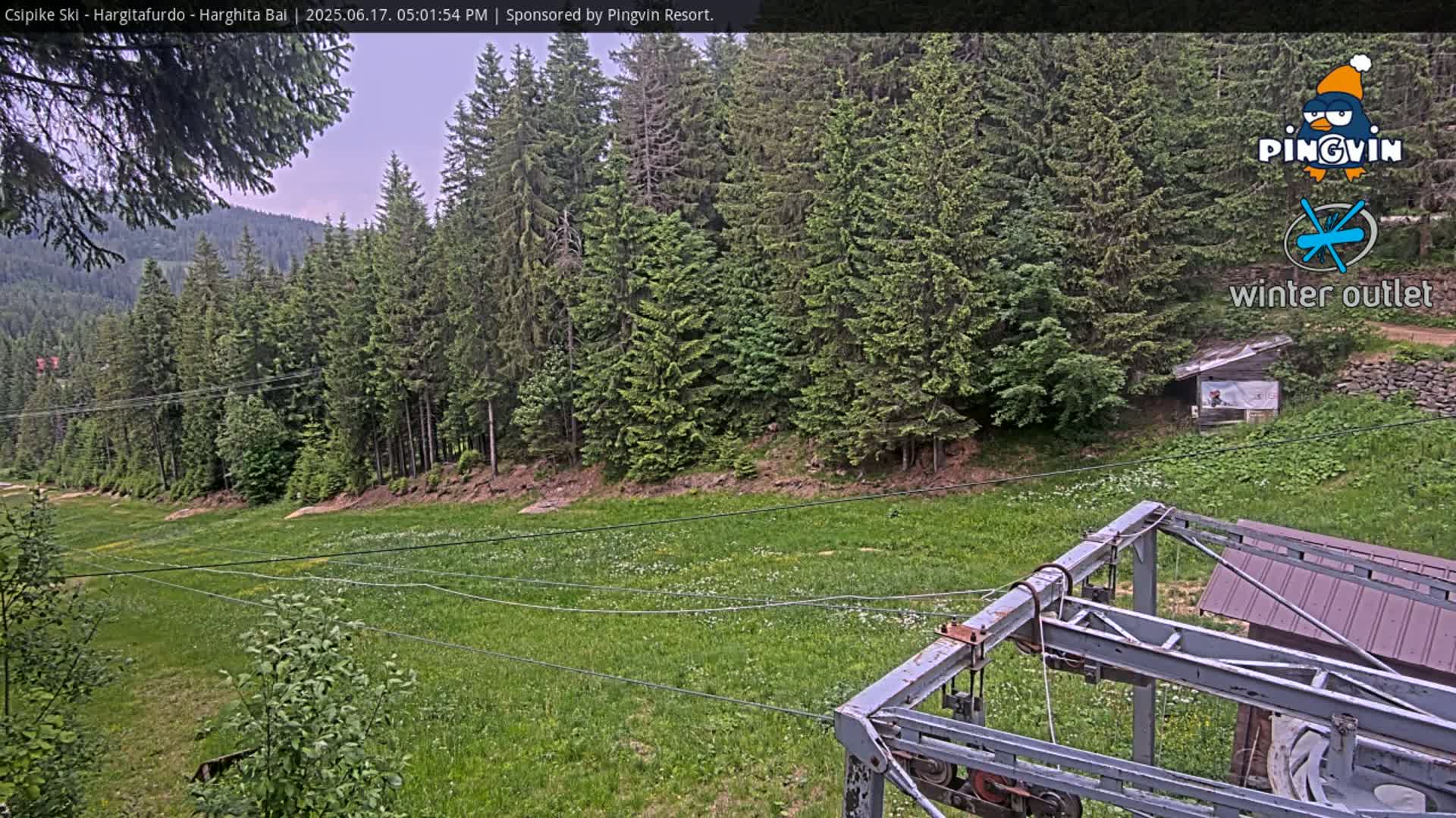 A grassy field dotted with wildflowers stretches out before a stand of evergreen trees under an overcast sky, with a section of a ski lift in the foreground.