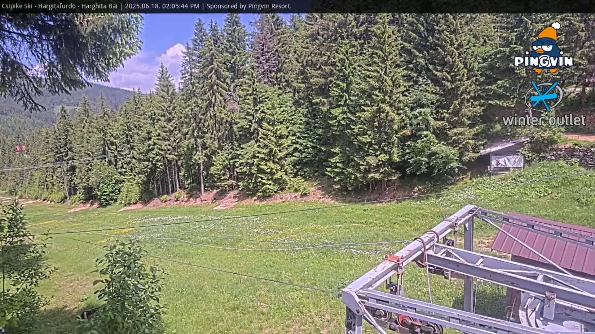 A grassy field with wildflowers, part of a ski lift, and a forest of evergreen trees under a mostly sunny sky.