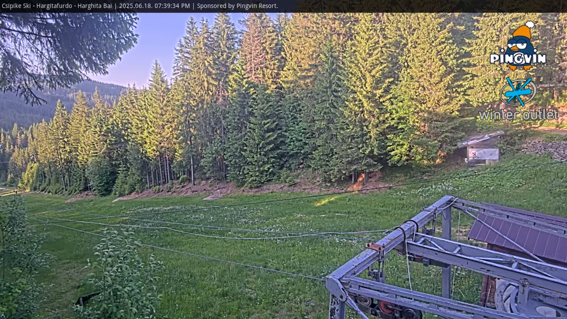 A grassy field with a ski lift in the foreground, backed by a line of evergreen trees under a clear, twilight sky.