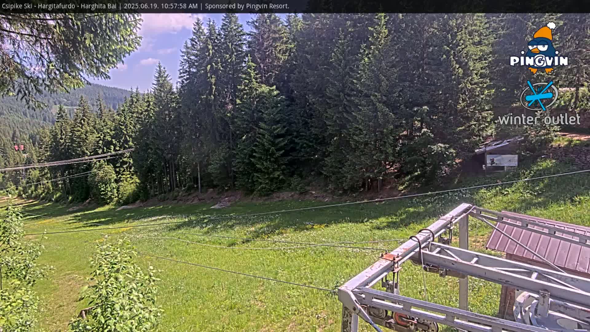 A grassy hillside with a chairlift and surrounding coniferous forest under a partly sunny sky.