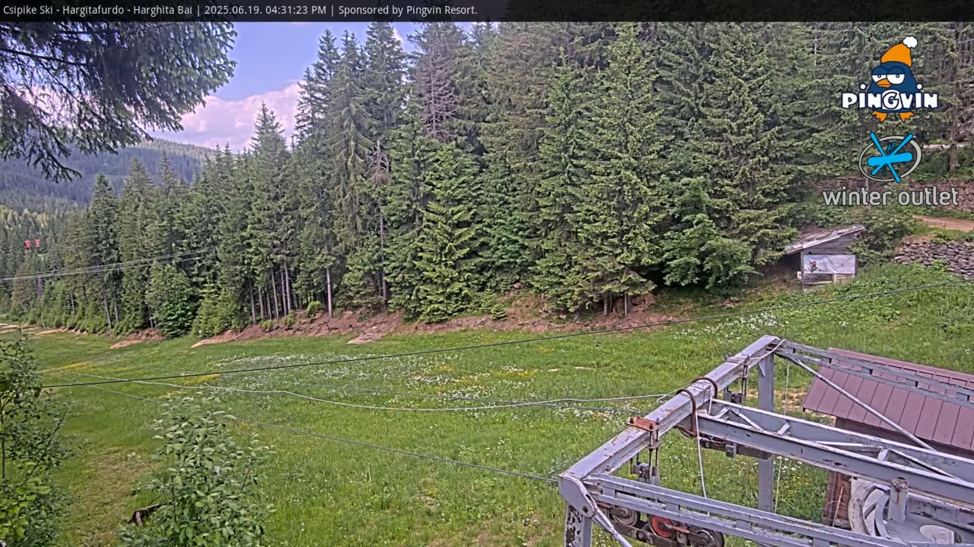 A grassy field dotted with wildflowers sits below a line of evergreen trees under a partly cloudy sky, with a section of a ski lift visible in the foreground.