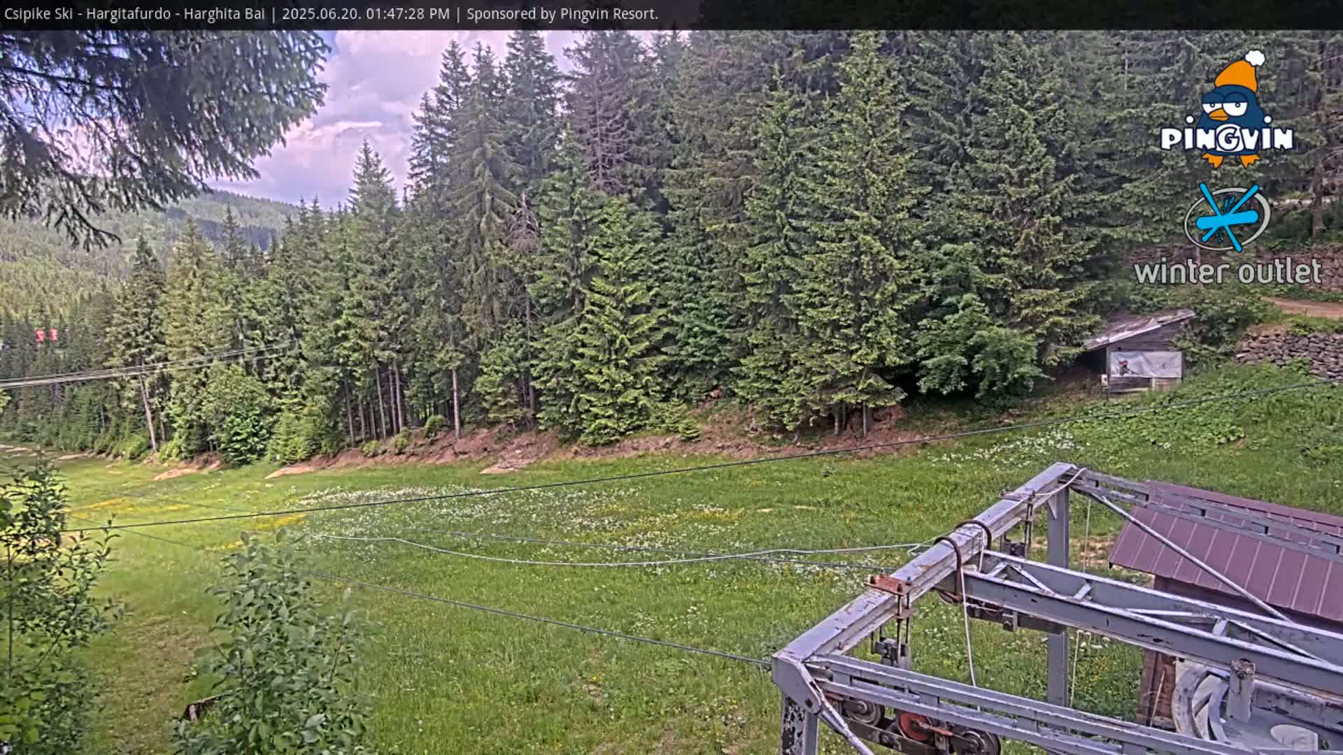 A grassy hillside dotted with wildflowers is seen from a ski lift, with a forest of evergreen trees in the background under partly cloudy skies.