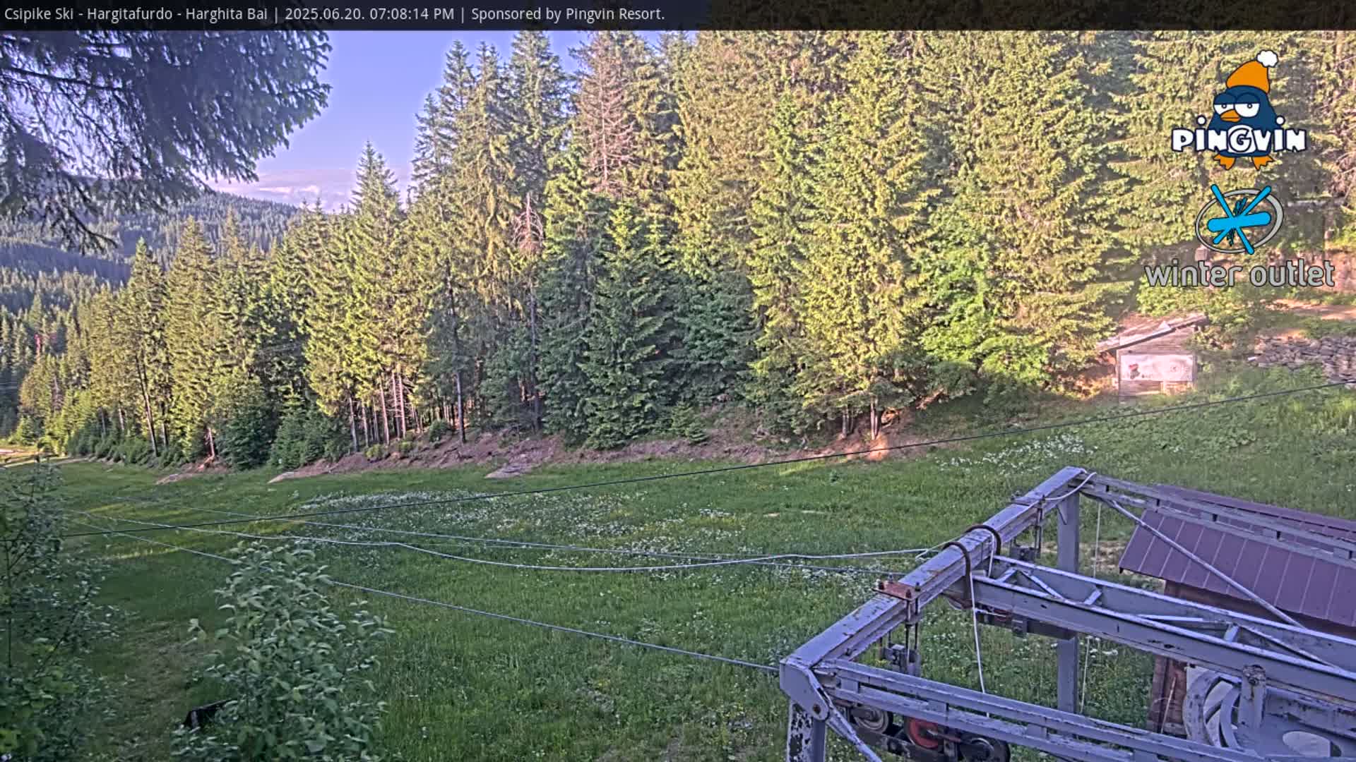 A grassy field with wildflowers, a chairlift, and a forest of evergreen trees in the background under a clear, twilight sky.