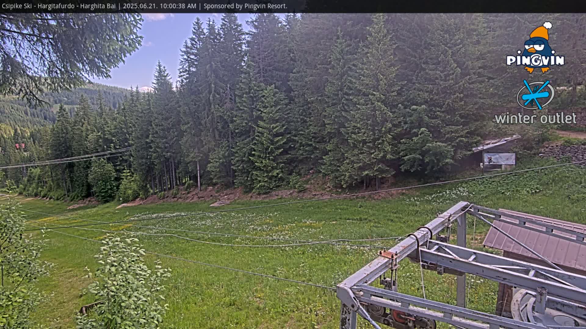 A grassy field with wildflowers, part of a ski lift, and a forest of evergreen trees under a partly cloudy sky.