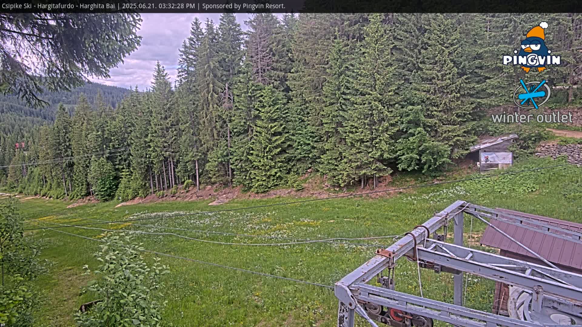 A mostly cloudy sky hangs over a grassy field dotted with wildflowers, bordered by a dense evergreen forest and a ski lift.