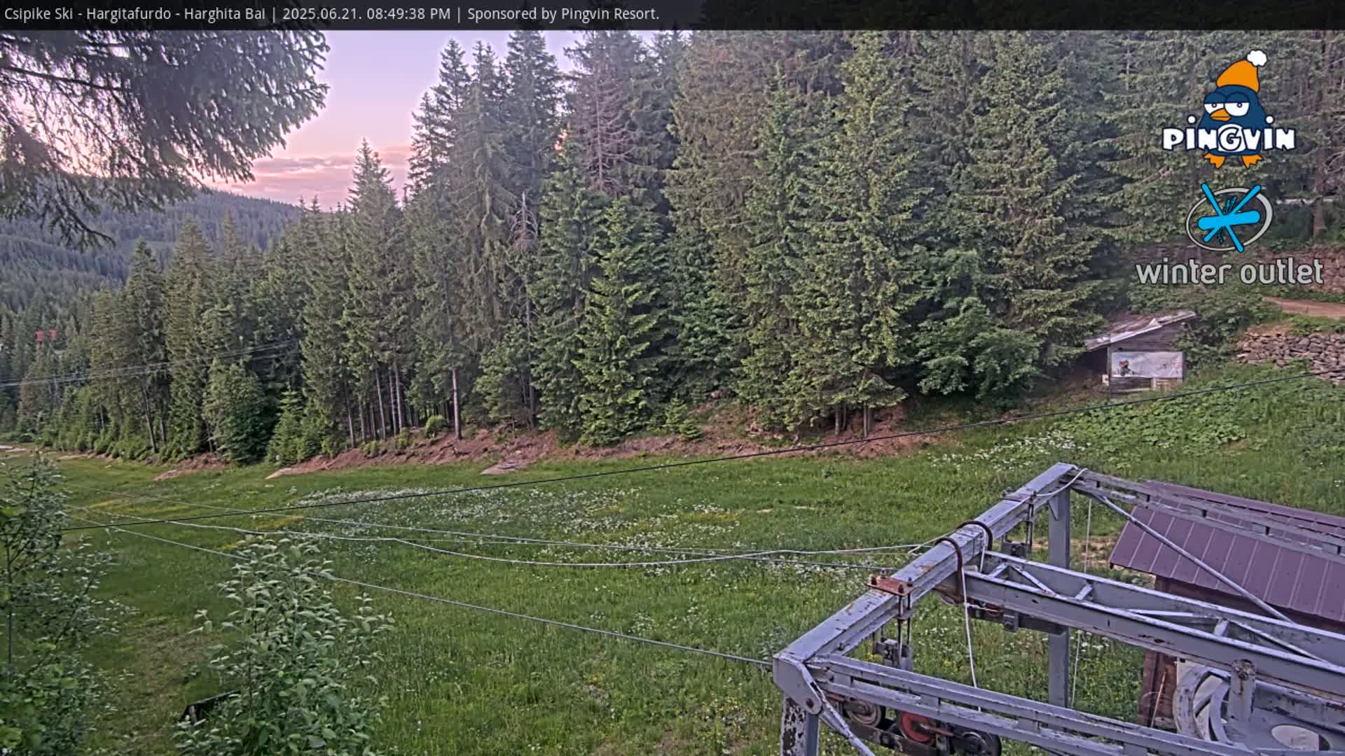 A grassy field with scattered wildflowers is visible below a chairlift, surrounded by a dense forest under a twilight sky.