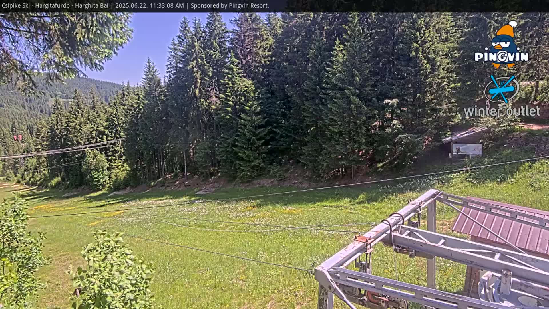 A grassy field dotted with wildflowers stretches below a chairlift, surrounded by a dense evergreen forest under a sunny sky.
