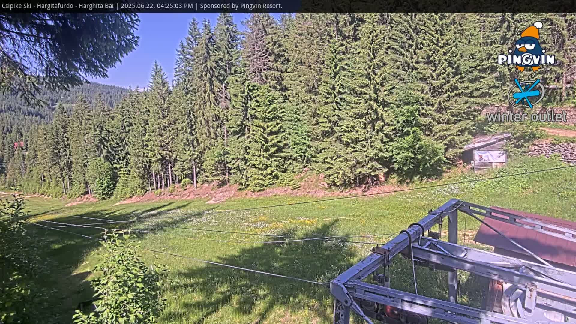 A sunny view of a grassy field dotted with wildflowers, bordered by a dense evergreen forest, with a section of a chairlift in the foreground.
