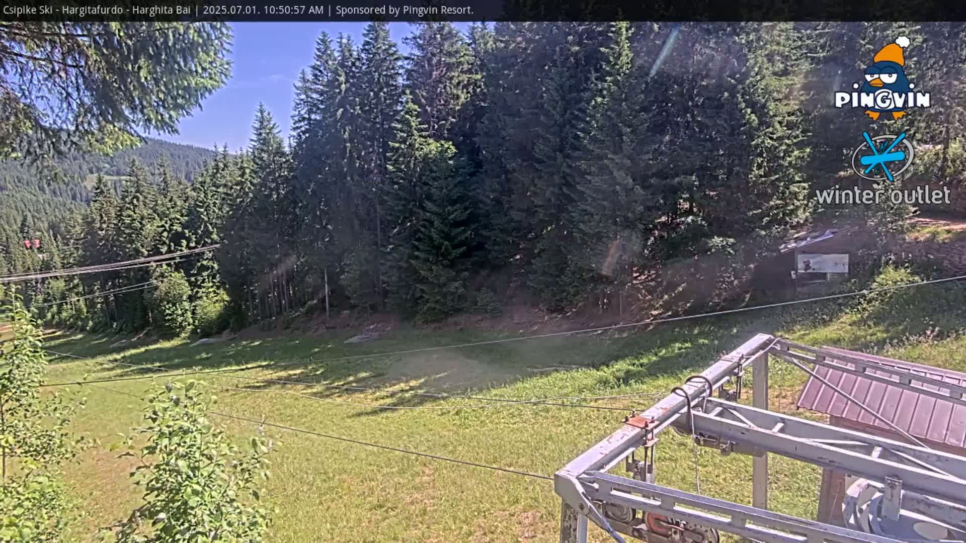 A sunny view from a ski lift shows a grassy area below, surrounded by a dense evergreen forest on a clear day.