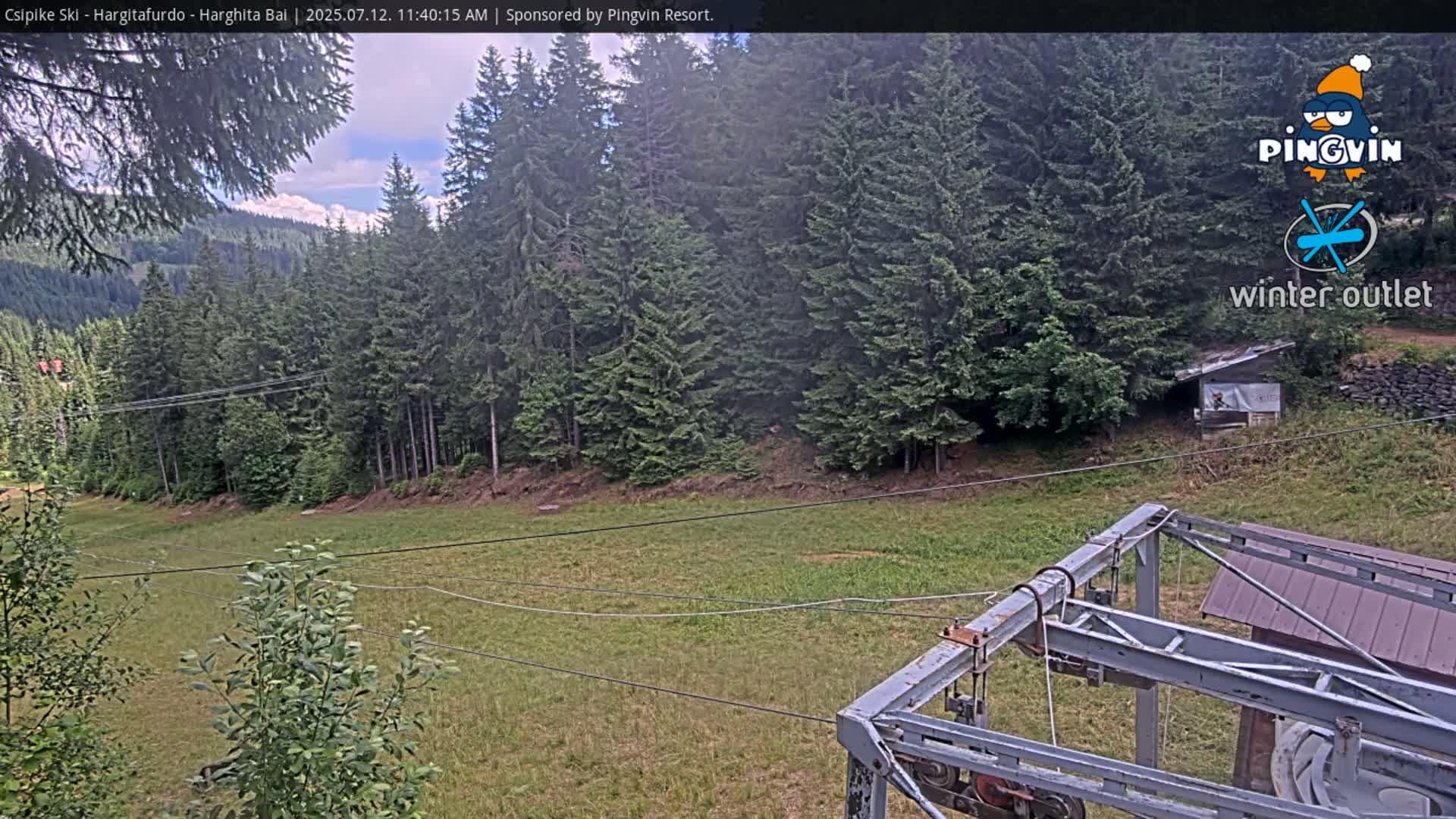 A grassy field with a chairlift and a forest of evergreen trees under a partly cloudy sky.