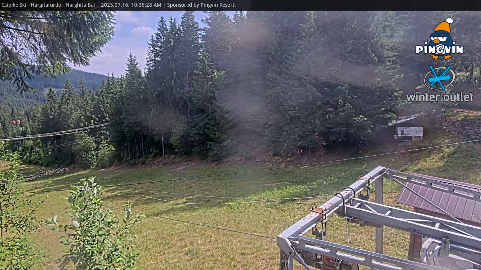 A mostly clear sky overlooks a grassy area with a ski lift and evergreen trees in the background.
