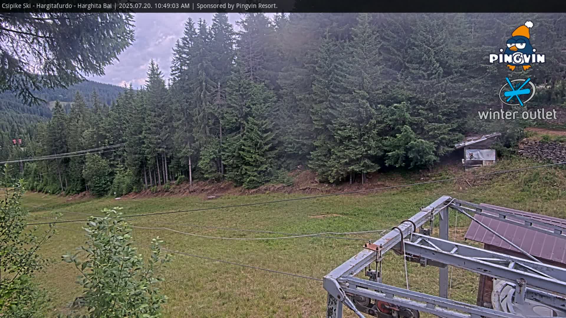 A ski lift structure is visible in the foreground, overlooking a grassy field and a dense forest of evergreen trees under an overcast sky.