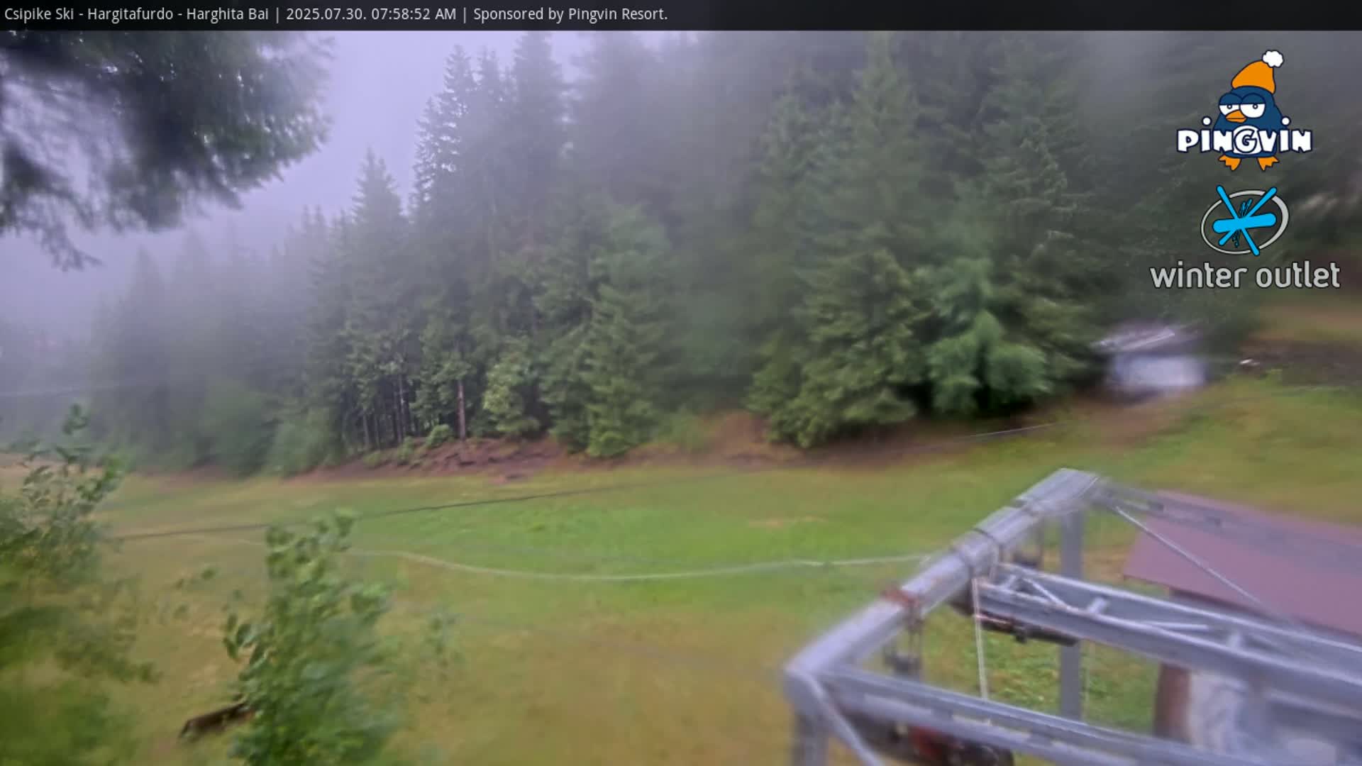 A ski lift structure is visible in the foreground, overlooking a grassy field and a dense forest of evergreen trees under an overcast sky.