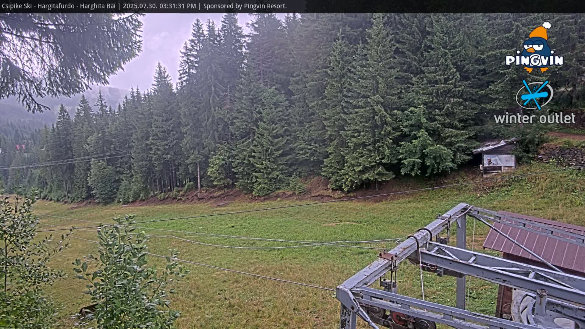 A ski lift structure is visible in the foreground, overlooking a grassy field and a dense forest of evergreen trees under an overcast sky.