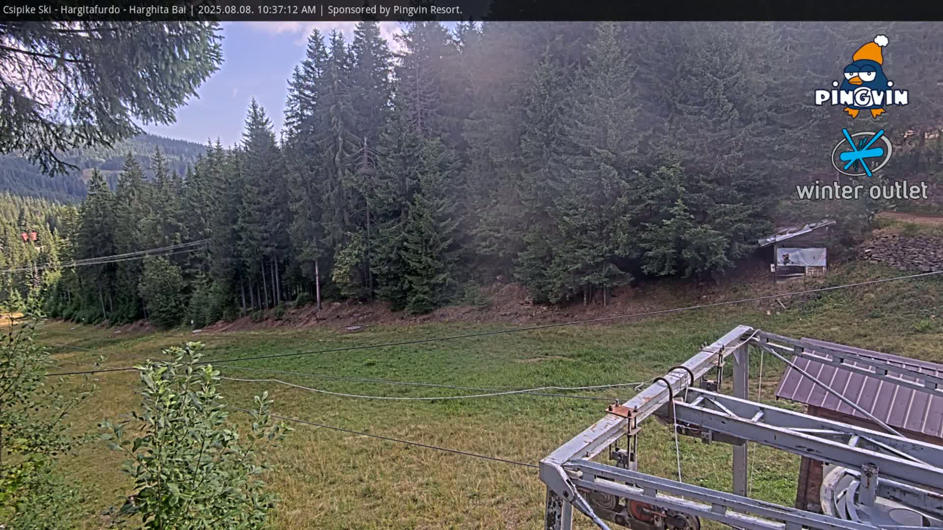 A grassy area with a ski lift in the foreground, surrounded by evergreen trees under a partly cloudy sky.