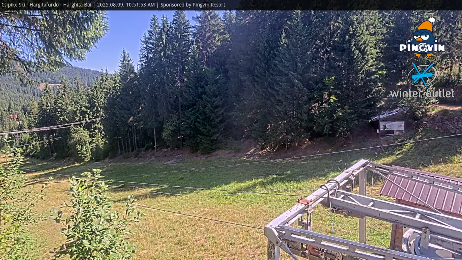 A sunny view of a grassy ski slope with a chairlift in the foreground and evergreen trees in the background.