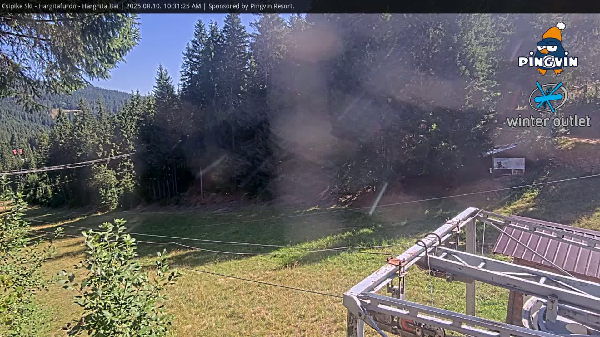 A sunny view of a grassy ski slope with a ski lift in the foreground and a forest of evergreen trees in the background.