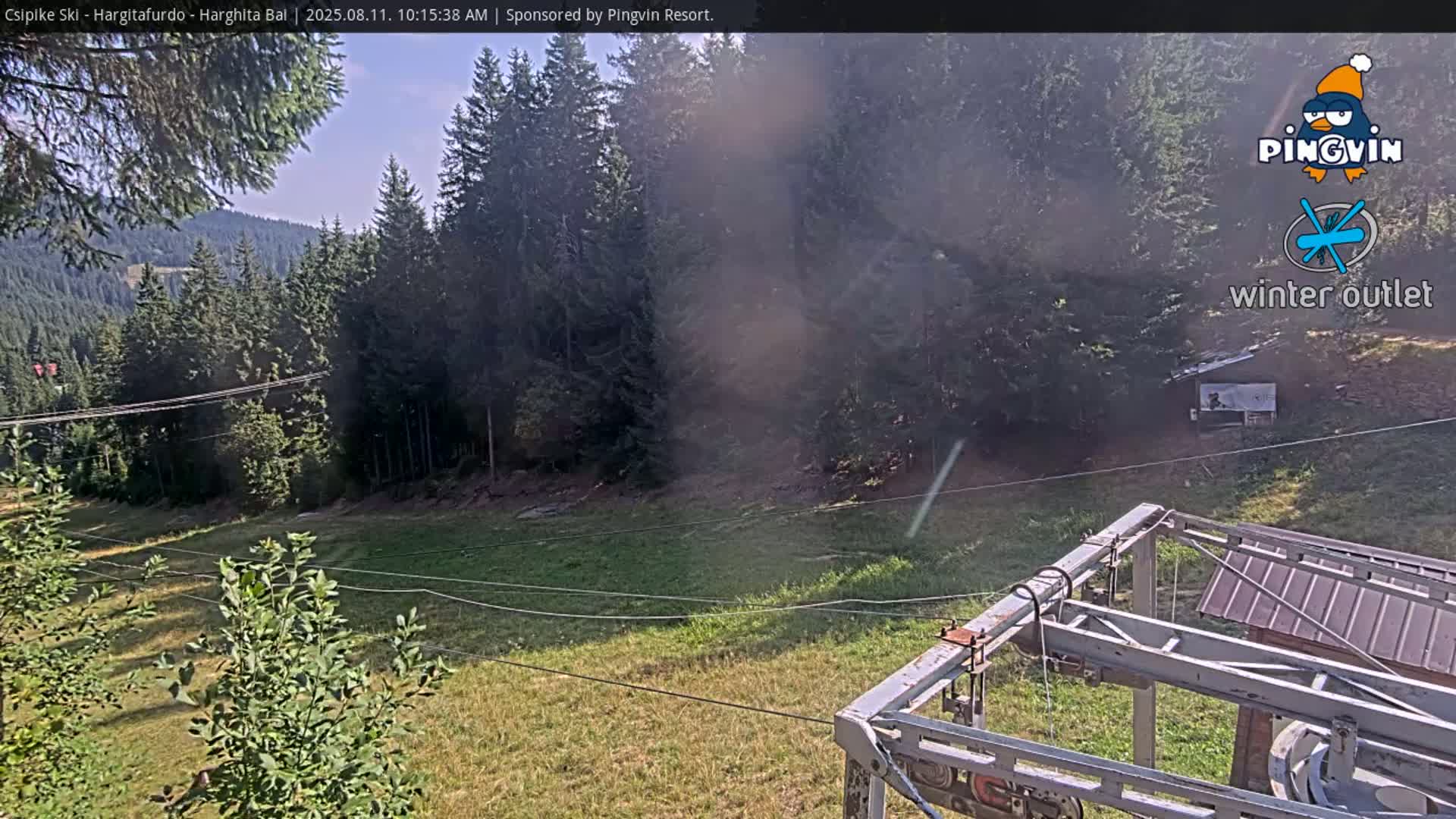 A sunny view from a ski lift shows a grassy area,  trees, and mountains in the distance.