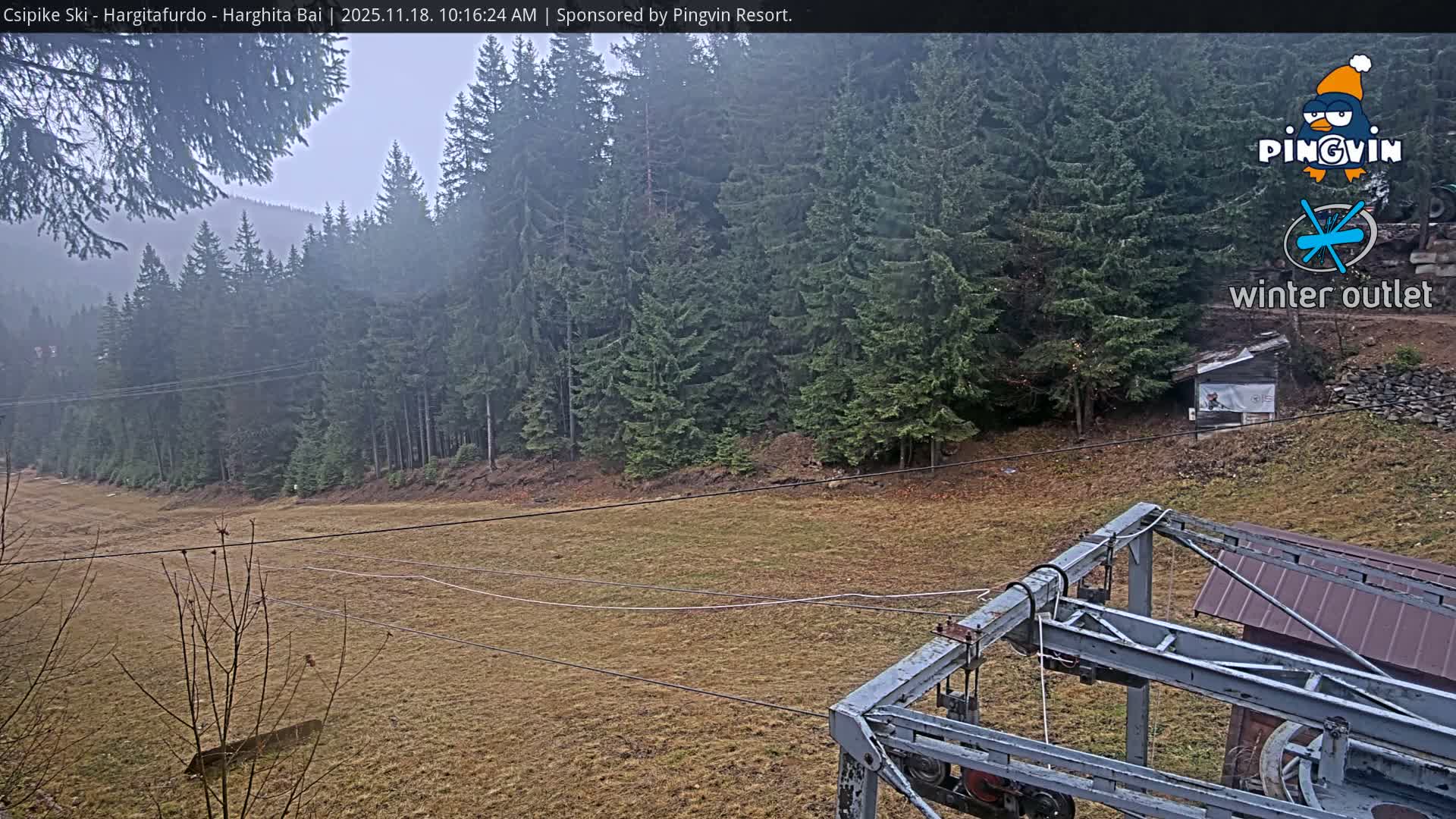 An overcast and misty day reveals a ski slope with brown grass and bare tree branches in the foreground, bordered by dense evergreen forests leading up to hazy hills, with a ski lift mechanism visible on the right.