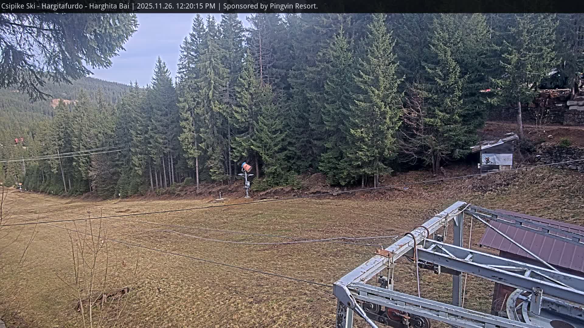 On an overcast and mild day, a snowless ski slope featuring a prominent snow cannon and visible ski lift infrastructure is framed by a dense evergreen forest, with a small shed nestled among the trees.